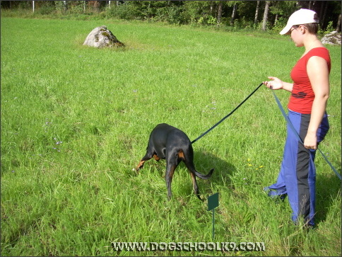 Summer training camp in Finland 2007